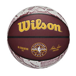 Wilson 2022 NBA All-Star Collector Edition