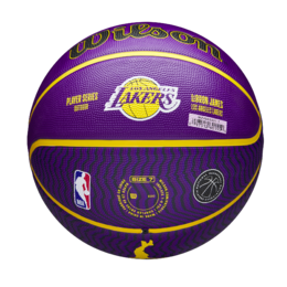 Wilson Los Angeles Lakers LeBron James kumipallo - koko 7