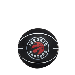 Wilson Toronto Raptors mini pomppupallo
