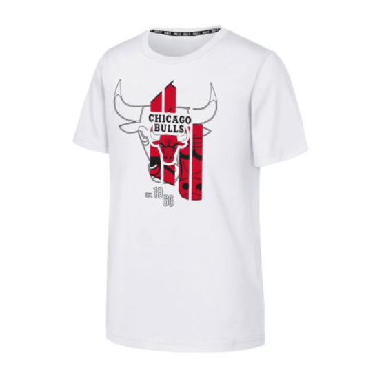 Chicago Bulls Graphic T-Paita Junior